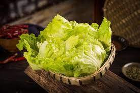 Napa Cabbage大白菜