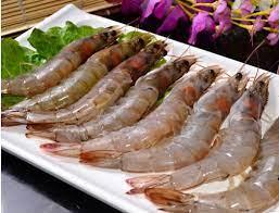 Head-on Shrimp有头虾