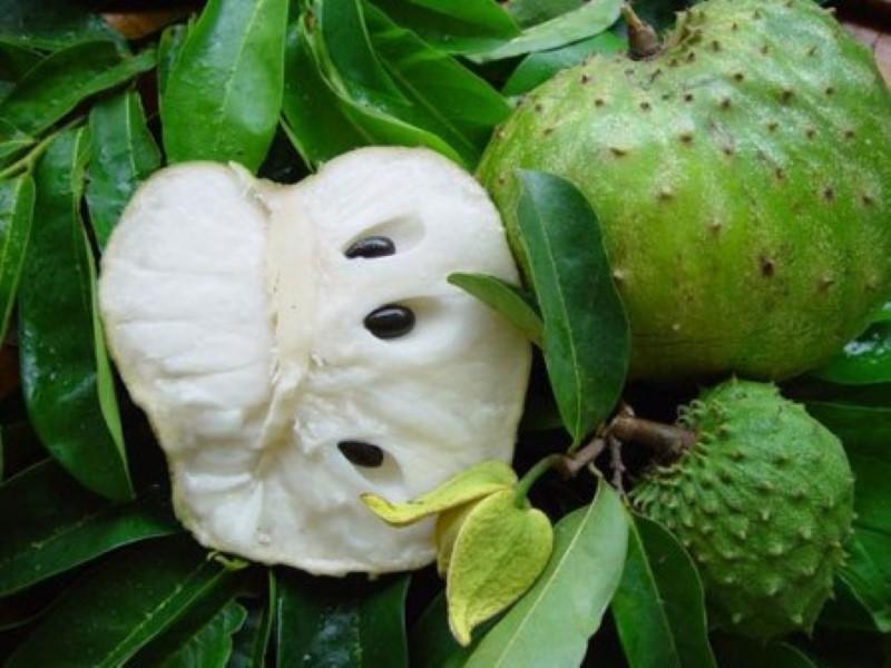 Image for Soursop.