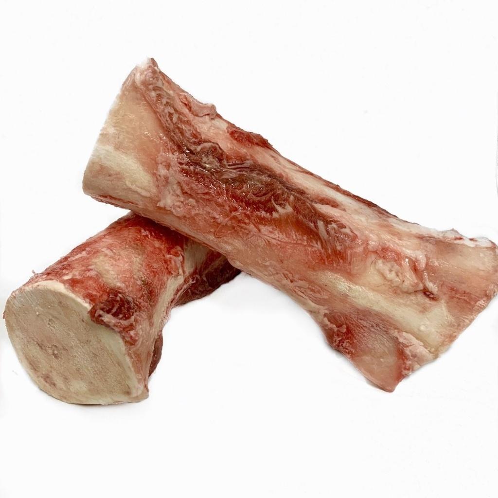 Image for Bison Femur.