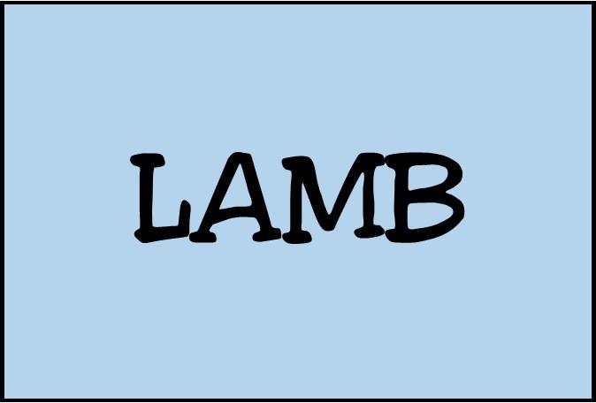 Image for Lamb Meals.