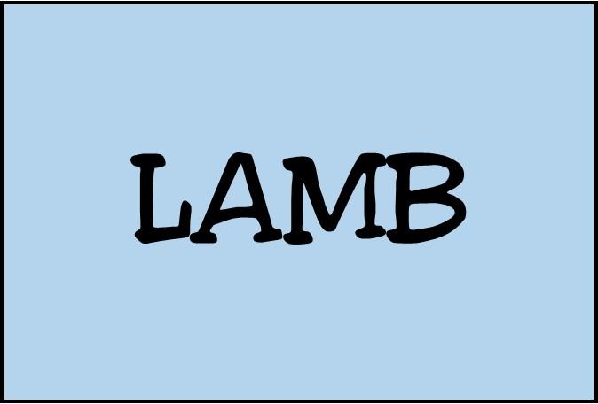 08 Lamb Meals