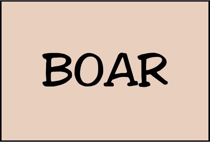 Image for Boar Meals.