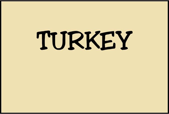 Turkey Meals